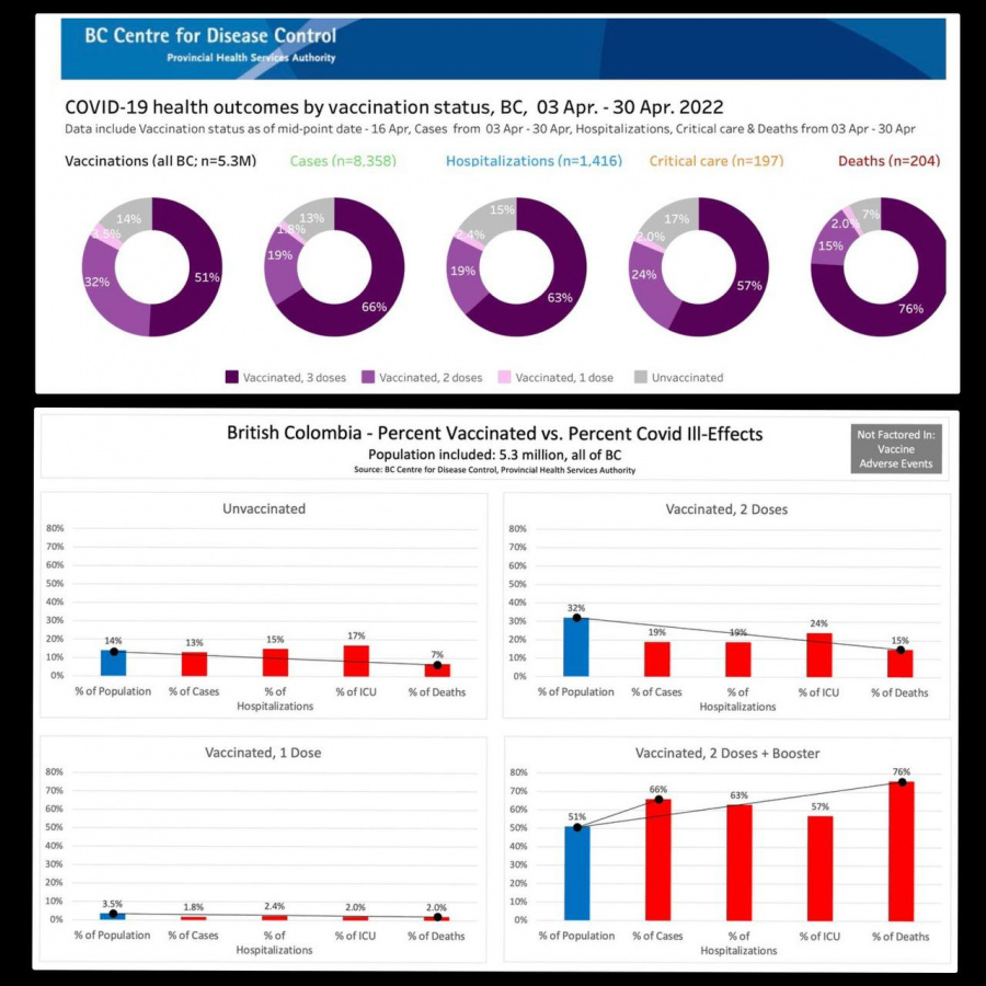 Click image for larger version

Name:	Covid-19 health outcomes by vaxx status.jpg
Views:	301
Size:	225.7 KB
ID:	1103
